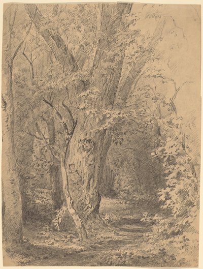 Fa és lombozat alkotó: Walter Shirlaw