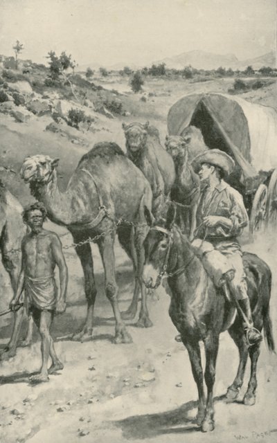 Tevekaraván, Nyugat-Ausztrália alkotó: Walter Stanley Paget