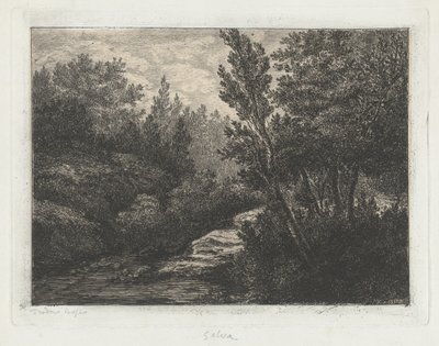 Selva (Woods) alkotó: Walter Teodoro Bosio