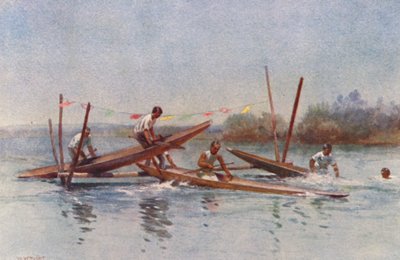 Új-Zéland: (színes litográfia) alkotó: Walter Wright