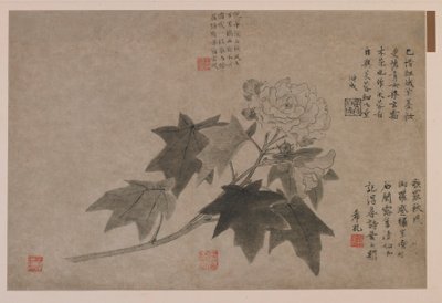 Hibiszkusz, 1347. alkotó: Wang Yuan