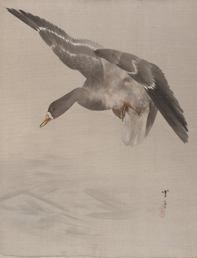 Kacsa, kb. 1887. alkotó: Watanabe Seitei