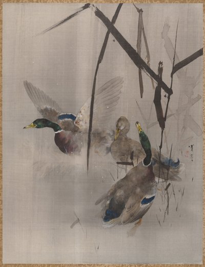Ducks in the Rushes, kb. 1887. alkotó: Watanabe Seitei