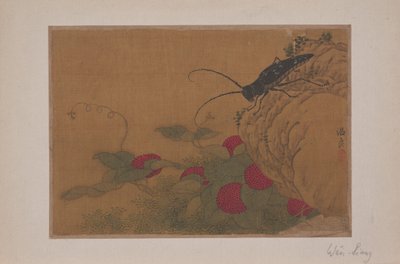 Grasshopper on Rock, 15. század. alkotó: Wen Liang