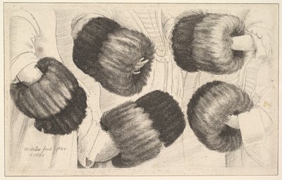 Muff öt nézetben, 1645-46. alkotó: Wenceslaus Hollar