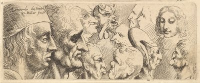 Különféle fejek, 1625-77. alkotó: Wenceslaus Hollar