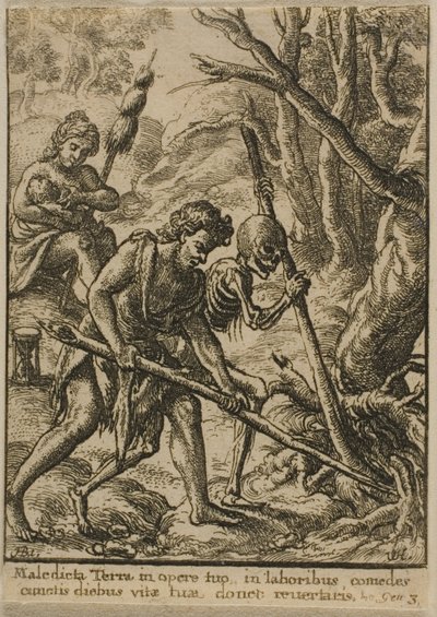 Adam szántó alkotó: Wenceslaus Hollar