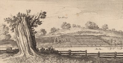 Albury, 1645. alkotó: Wenceslaus Hollar