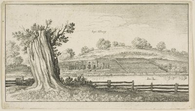 Albury fatönkövel az előtérben alkotó: Wenceslaus Hollar