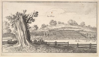 Albury fatönkövel az előtérben, 1625-77. alkotó: Wenceslaus Hollar