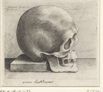 A koponya anatómiai vizsgálata alkotó: Wenceslaus Hollar
