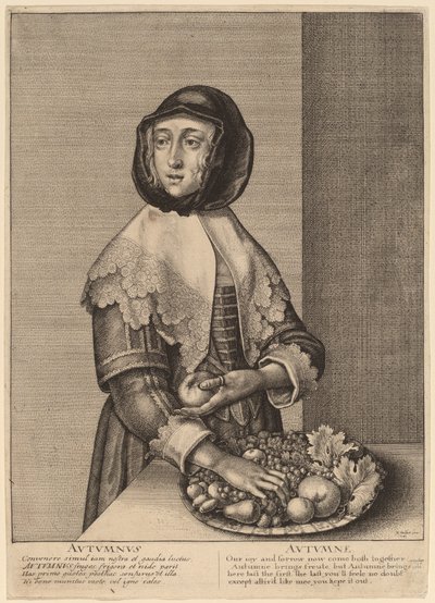 Ősz alkotó: Wenceslaus Hollar