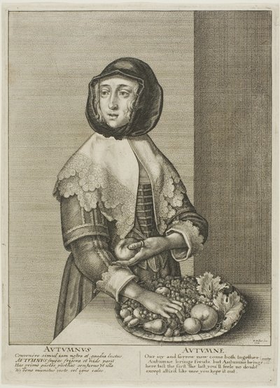 Ősz alkotó: Wenceslaus Hollar