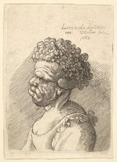 Egy torz hajú, göndör hajú nő mellképe balra, 1665. alkotó: Wenceslaus Hollar
