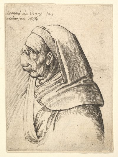 Kis felhajtott orrú, nagyon magas felső ajakú, csuklyát viselő férfi mellszobra, profil..., 1666. alkotó: Wenceslaus Hollar