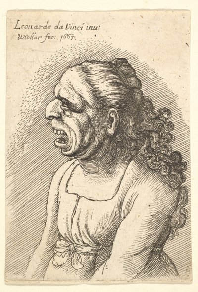 Tátott szájú, vállára omló, hosszú göndör hajú nő mellszobra..., 1665. alkotó: Wenceslaus Hollar