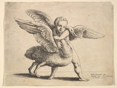 Ámor és a hattyú, 1652. alkotó: Wenceslaus Hollar