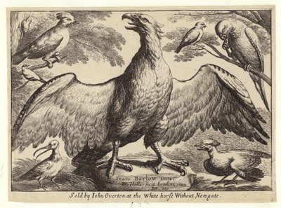 Sas és más madarak alkotó: Wenceslaus Hollar