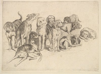 Tizenegy vadászkutya alkotó: Wenceslaus Hollar
