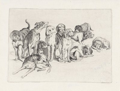 Tizenegy vadászkutya alkotó: Wenceslaus Hollar