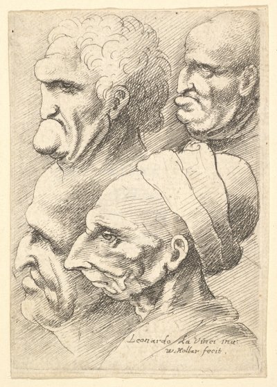 Négy groteszk fej profilban balra, 1625-77. alkotó: Wenceslaus Hollar