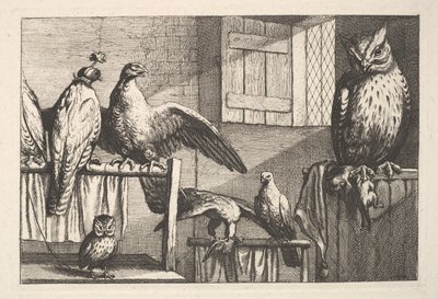Sólymok és baglyok, 1625-77. alkotó: Wenceslaus Hollar