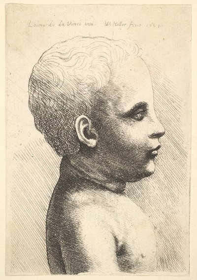 Gyermek feje és válla, profilban jobbra, 1645. alkotó: Wenceslaus Hollar