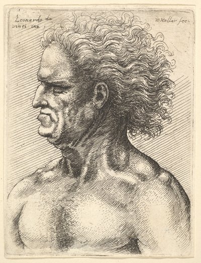 Egy izmos öregember feje profilban balra, hullámzó hajjal, 1625-77. alkotó: Wenceslaus Hollar