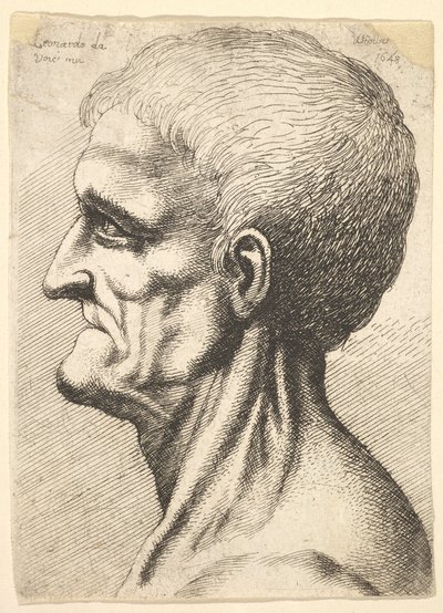 Fogatlan férfi feje, csupasz, inas nyakú profilban balra, 1648. alkotó: Wenceslaus Hollar