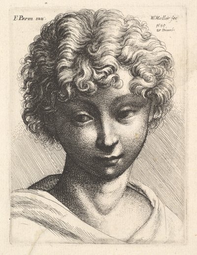 Egy fiatal lány feje, 1645. alkotó: Wenceslaus Hollar