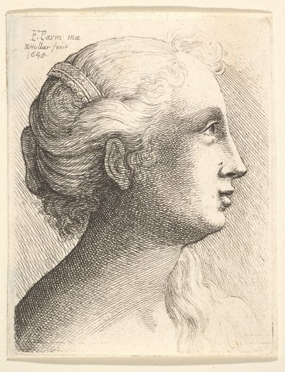 Egy fiatal nő feje profilban jobbra, 1645. alkotó: Wenceslaus Hollar
