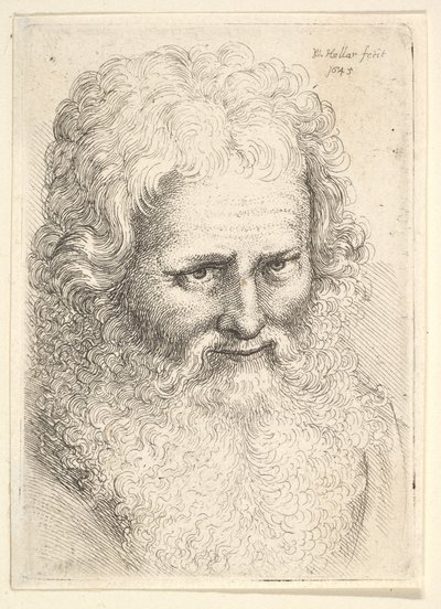 Nagy szakállú öregember feje alkotó: Wenceslaus Hollar