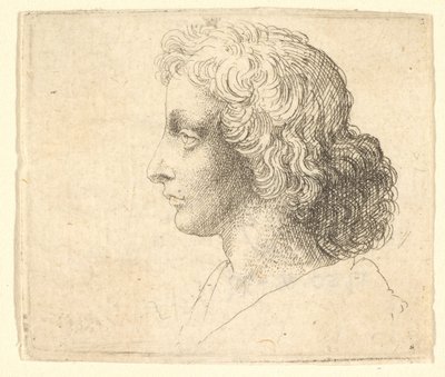 Hosszú hajú fiatalember feje balra, 1644-52. alkotó: Wenceslaus Hollar
