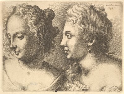 Két fiatal nő feje, 1645. alkotó: Wenceslaus Hollar