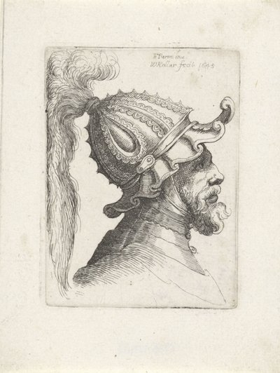 Feje egy férfi tollas sisakos Sisakos fejek Parmigianino felé (sorozat címe) alkotó: Wenceslaus Hollar