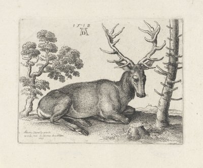Fekvő szarvas, jobbra alkotó: Wenceslaus Hollar