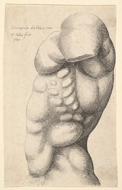 Férfi törzs a nyaktól a csípőig profilban balra, 1645. alkotó: Wenceslaus Hollar