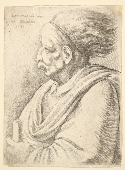 Férfi karikírozott arcvonásokkal, mögötte hullámzó hajjal, félhosszúan balra, 1648. alkotó: Wenceslaus Hollar