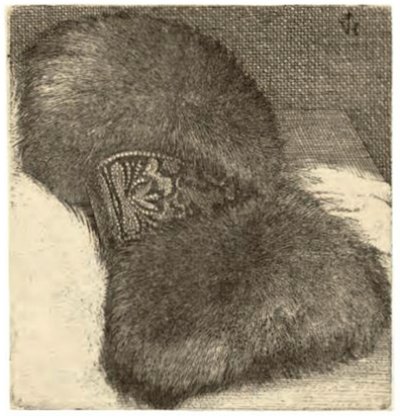 Muff Brocade szalaggal alkotó: Wenceslaus Hollar