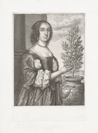 Egy babérnövény mellett álló nő portréja alkotó: Wenceslaus Hollar