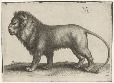 álló oroszlán alkotó: Wenceslaus Hollar