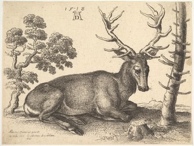 Jobbra fekvő szarvasbika, 1649. alkotó: Wenceslaus Hollar