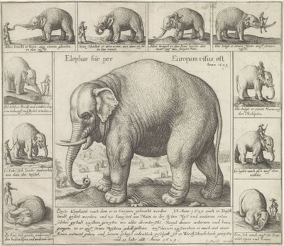 Illat is van Egy elefántot láttak itt Európában (cím a tárgyon) alkotó: Wenceslaus Hollar