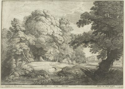 A híd a vízesés felett alkotó: Wenceslaus Hollar