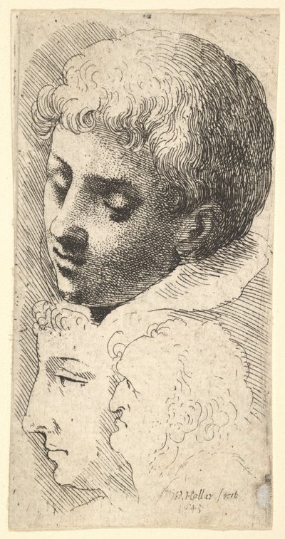 Három fej, 1645. alkotó: Wenceslaus Hollar
