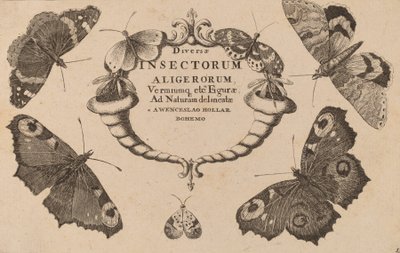 Címlap. alkotó: Wenceslaus Hollar