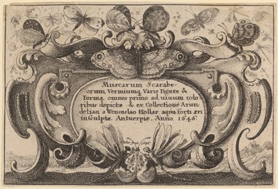 Címlap alkotó: Wenceslaus Hollar