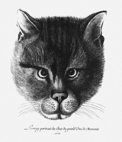 Igaz képe I. Alekszisz Mihajlovics orosz cár macskájáról alkotó: Wenceslaus Hollar