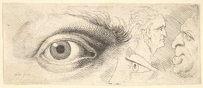 Két szem és két fej, 1644-52. alkotó: Wenceslaus Hollar