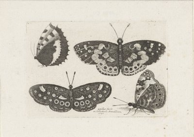 Vier vlinders Rovarok (sorozat címe) Scarab Flies (sorozat címe) alkotó: Wenceslaus Hollar